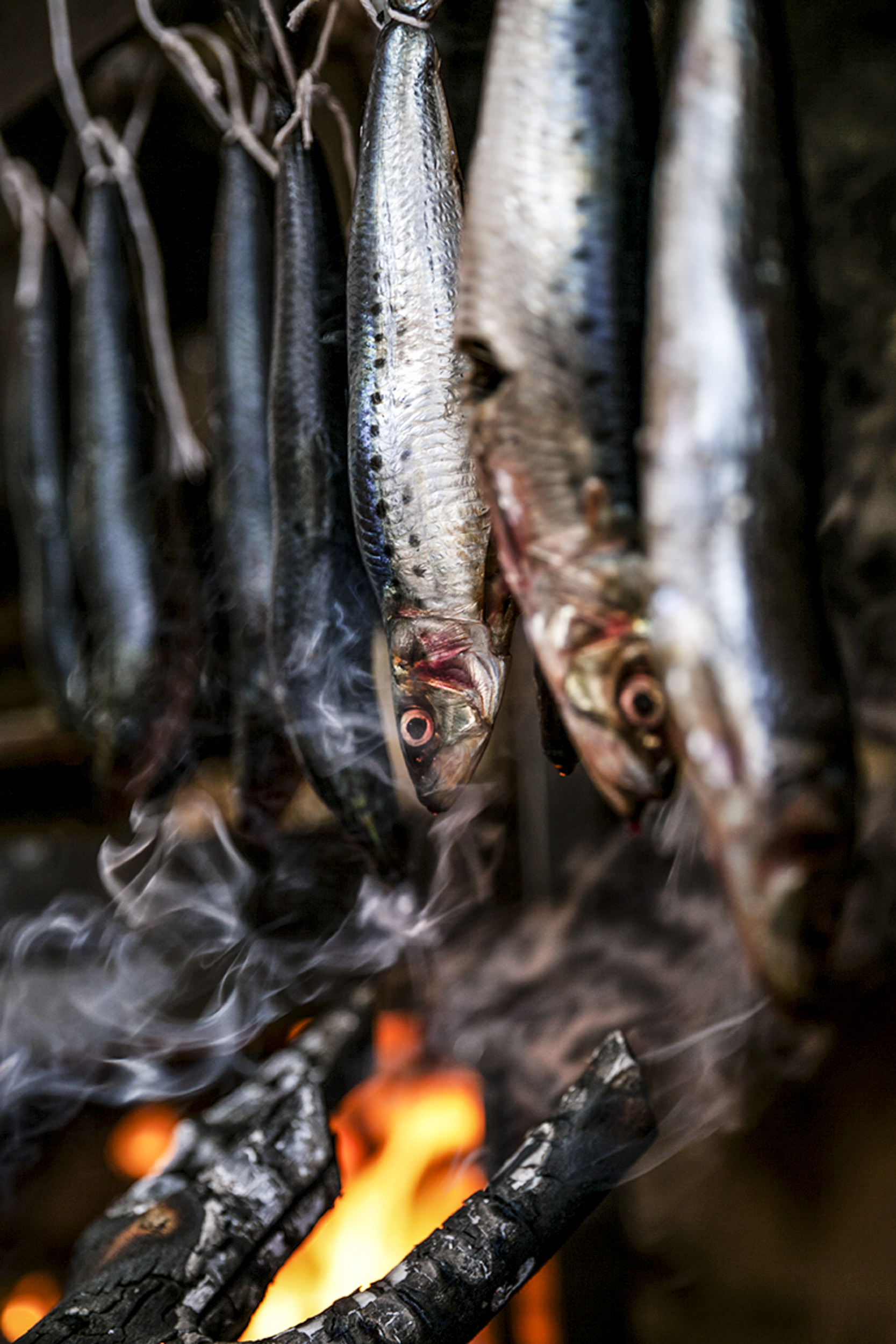 Katie Newburn | San Francisco Bay Area Food and Lifestyle Photographer | Smoking Fish
