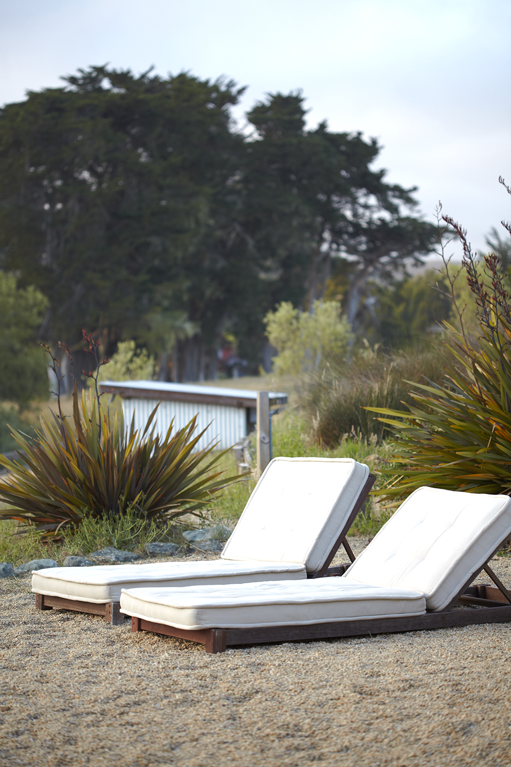 Katie Newburn | San Francisco Bay Area Food and Lifestyle Photographer | Backyard Lounge Chairs