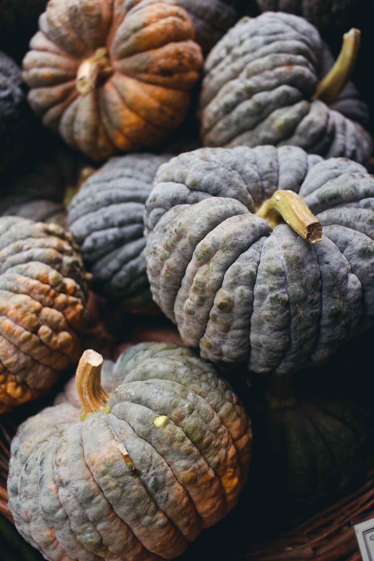 Katie Newburn | San Francisco Bay Area Food and Lifestyle Photographer | Winter Gourds
